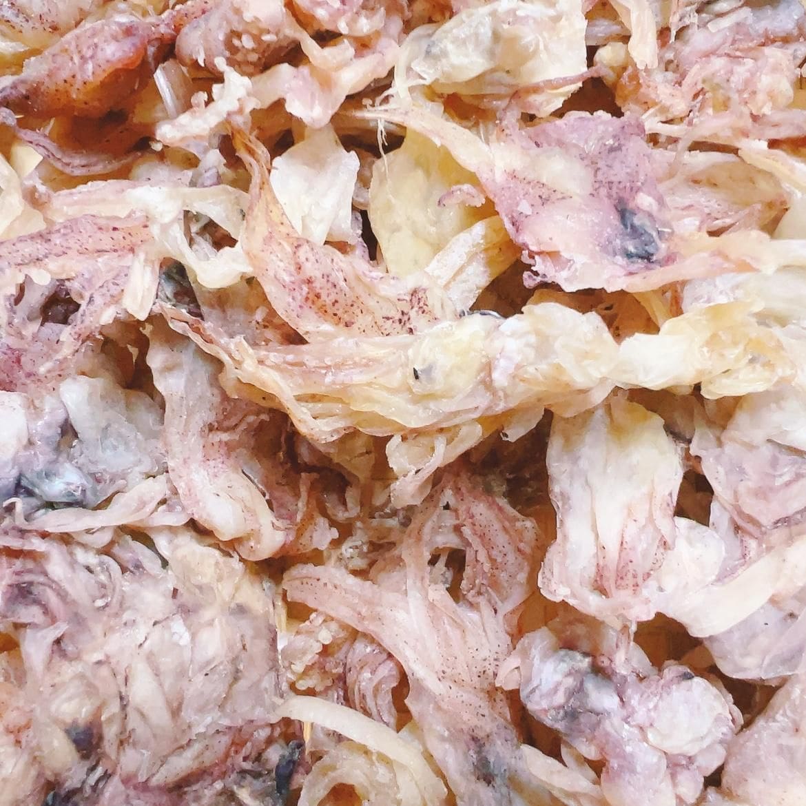 Đầu khô mực mới
